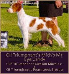 CH Triumphant's Mich's Mt Eye Candy